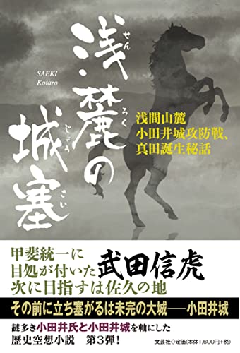 浅麓の城塞 浅間山麓小田井城攻防戦、真田誕生秘話
