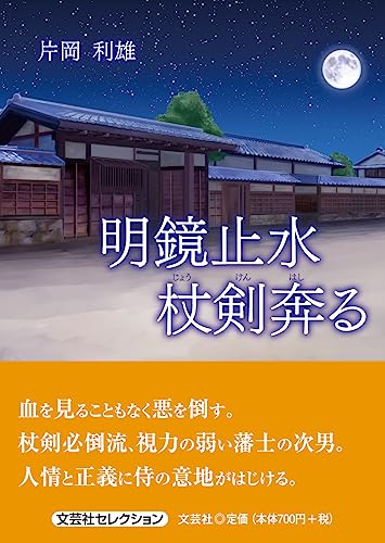 明鏡止水 杖剣奔る