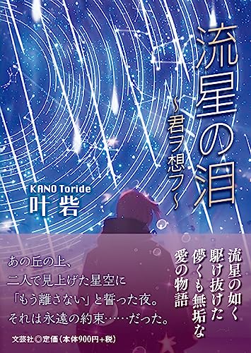 流星の泪〜君ヲ想フ〜