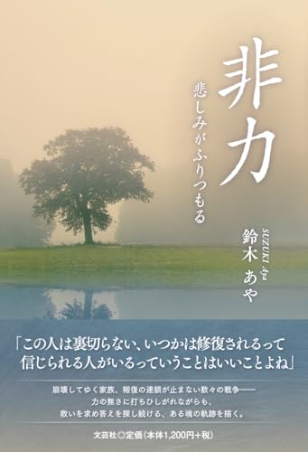 非力悲しみがふりつもる