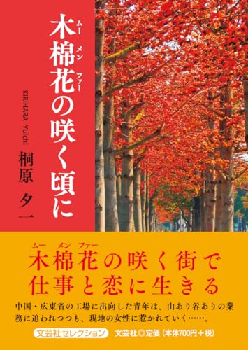木棉花の咲く頃に