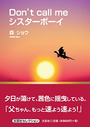 Don’t call meシスターボーイ