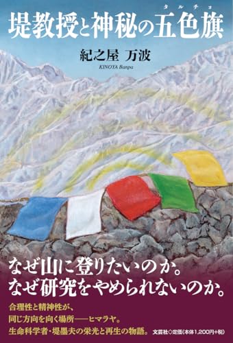 堤教授と神秘の五色旗