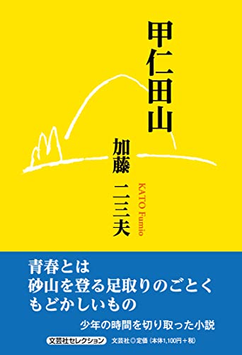 甲仁田山