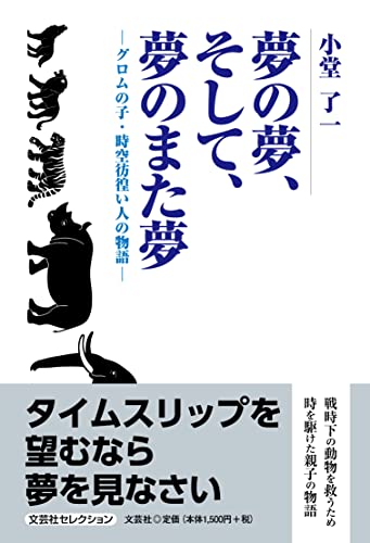 夢の夢、そして、夢のまた夢 グロムの子・時空彷徨い人の物語