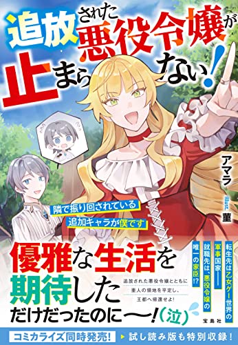 追放された悪役令嬢が止まらない! 隣で振り回されている追加キャラが僕です