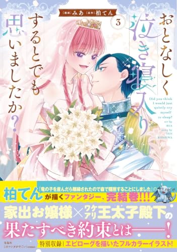 おとなしく泣き寝入りするとでも思いましたか？（3）