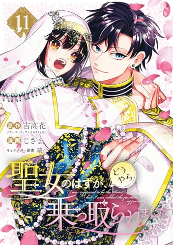 聖女のはずが、どうやら乗っ取られました（11）