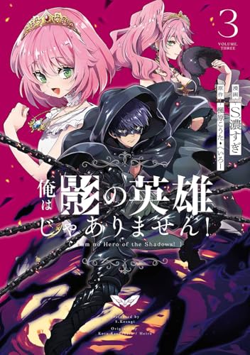 俺は影の英雄じゃありません!(コミック)(3)