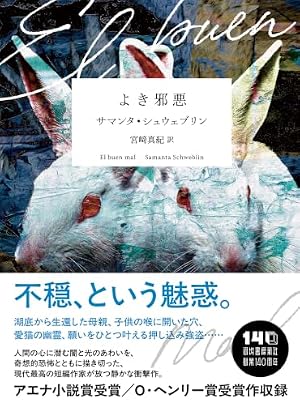 よき邪悪 書影