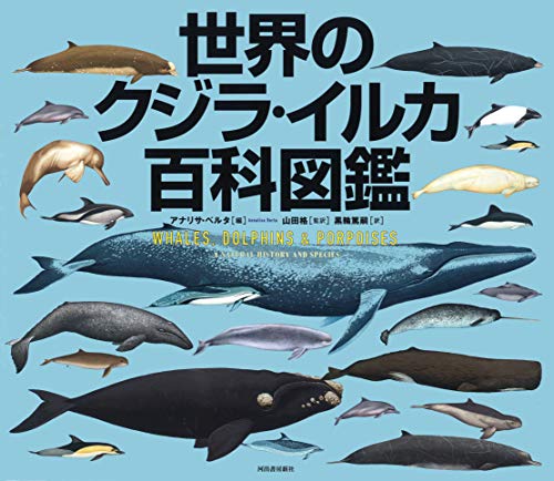 一気にわかる！池上彰の世界情勢２０１８ 国際紛争、一触即発編