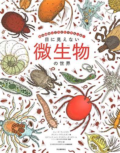 一気にわかる！池上彰の世界情勢２０１８ 国際紛争、一触即発編