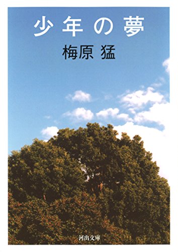 梅原猛『少年の夢』表紙