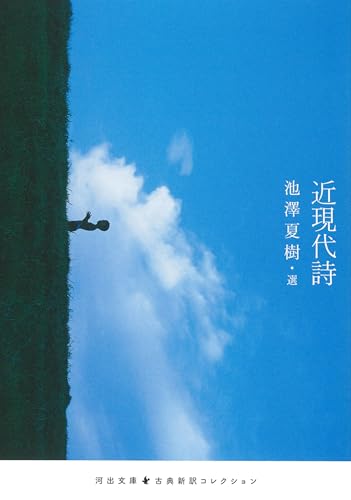 池沢夏樹『近現代詩』表紙