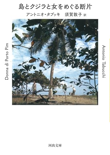 島とクジラと女をめぐる断片