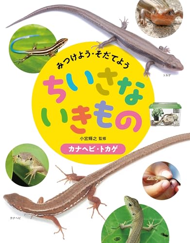 一気にわかる！池上彰の世界情勢２０１８ 国際紛争、一触即発編