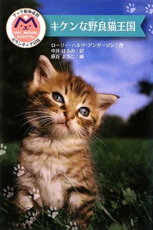 一気にわかる！池上彰の世界情勢２０１８ 国際紛争、一触即発編