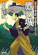 鷹の城 定廻り同心　新九郎、時を超える