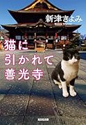 猫に引かれて善光寺