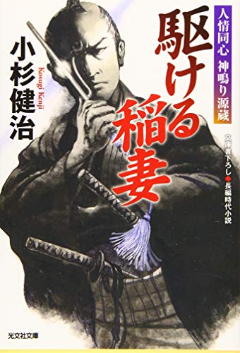 駆ける稲妻 人情同心 神鳴り源蔵