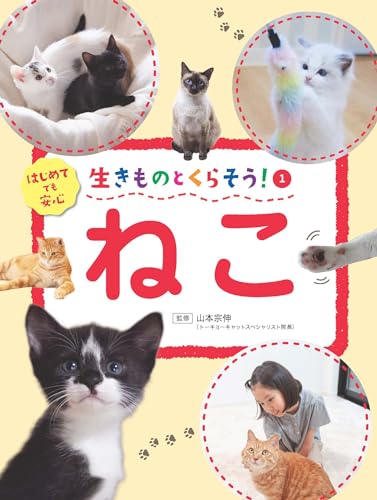 一気にわかる！池上彰の世界情勢２０１８ 国際紛争、一触即発編