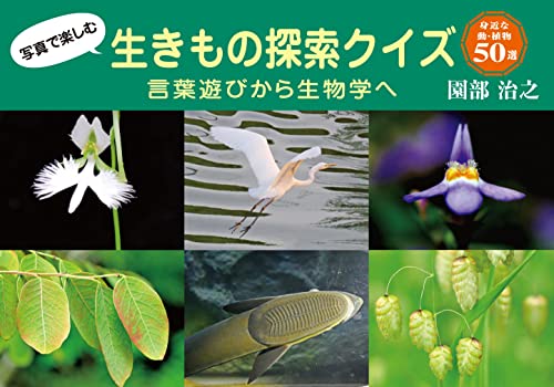 一気にわかる！池上彰の世界情勢２０１８ 国際紛争、一触即発編