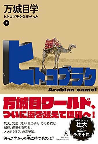 ヒトコブラクダ層ぜっと(上)