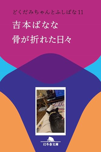 骨が折れた日々 どくだみちゃんとふしばな11