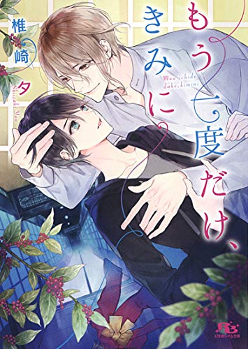 もう一度だけ、きみに