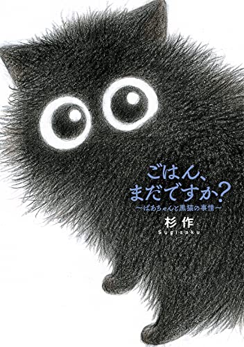 ごはん、まだですか? ばあちゃんと黒猫の事情