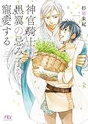 神官騎士は黒翼の忌み子を寵愛する