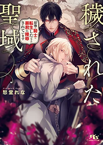 穢された聖域 最強の騎士に転生したはずが暴君に陵辱されています