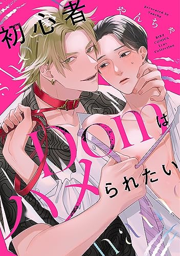 初心者Domはハメられたいの表紙
