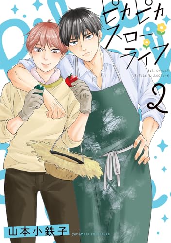 ピカピカスローライフ　（2）