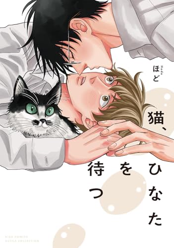 猫、ひなたを待つ