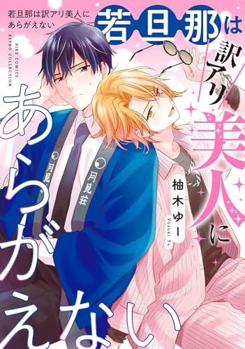 若旦那は訳アリ美人にあらがえない