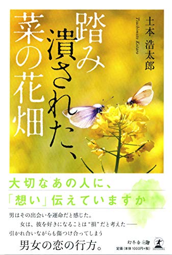 踏み潰された、菜の花畑