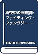 真夜中の盗賊