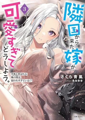 隣国から来た嫁が可愛すぎてどうしよう。 3 冬熊と呼ばれる俺の嫁は狙われすぎている!?