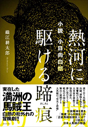 小説 小日向白朗 熱河に駆ける蹄痕
