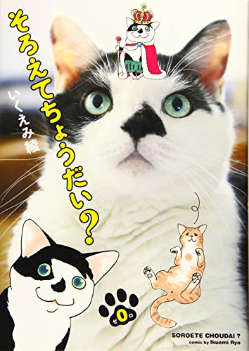 そろえてちょうだい? 0