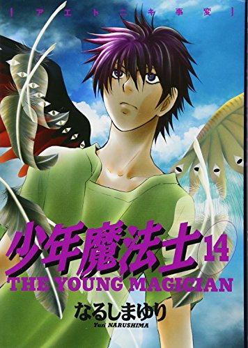 少年魔法士(14)