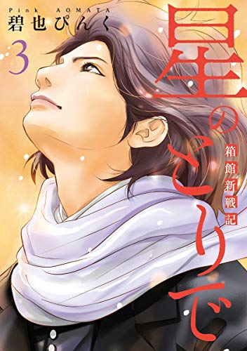 星のとりで(3) 箱館新戦記