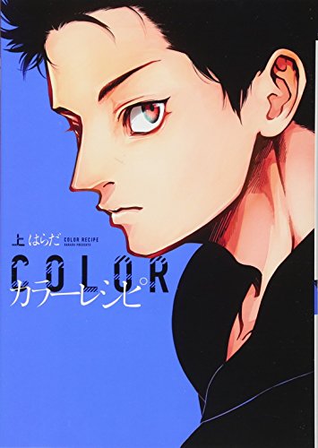 カラーレシピ(上)