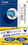 脳の寿命を決めるグリア細胞
