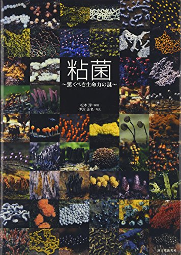 粘菌 驚くべき生命力の謎