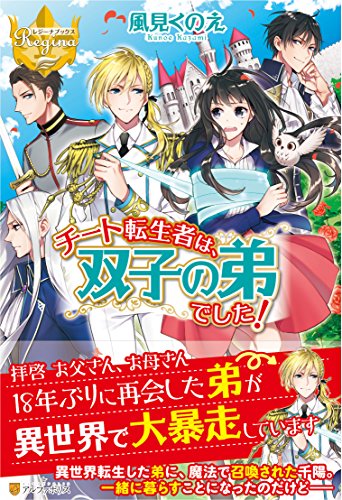 チート転生者は、双子の弟でした!