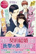 ワケありシンデレラは敏腕社長に売約済!