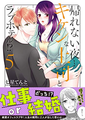 帰れない夜・・・キケンな上司とラブホテル!?(5)