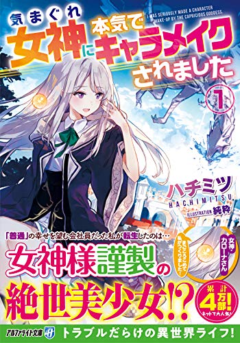 気まぐれ女神に本気でキャラメイクされました(1)